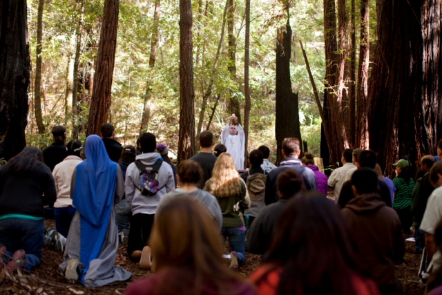 Sunday.Mass.in.Redwoods